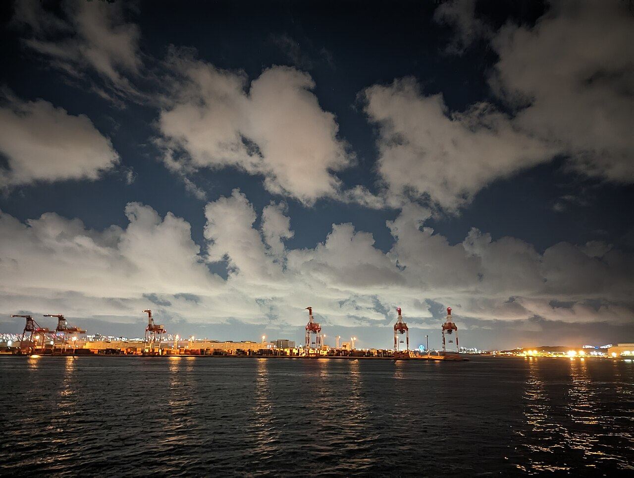 Container gantry cranes at a port